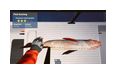 Thumbnail8