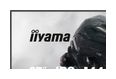 Thumbnail8