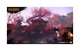 Thumbnail8
