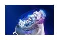 Thumbnail9