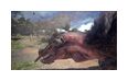 Thumbnail9